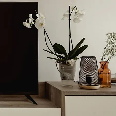Beautiful 2bdr In Center Sliema! Near 公寓 *