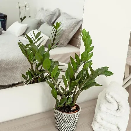 公寓 Beautiful 2bdr In Center Sliema! Near *